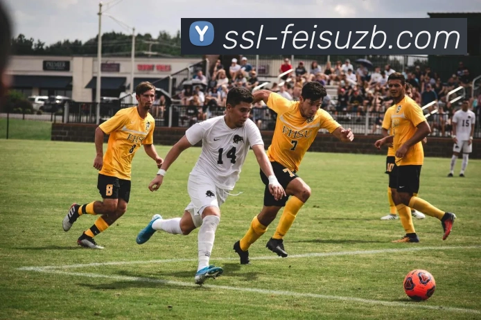 飞速免费高清足球直播品牌故事